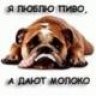 MrJohn
