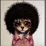 march cat
