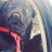 dima_spb