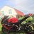 GSX-R1000 K6