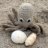 Octopuz