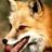 Foxx